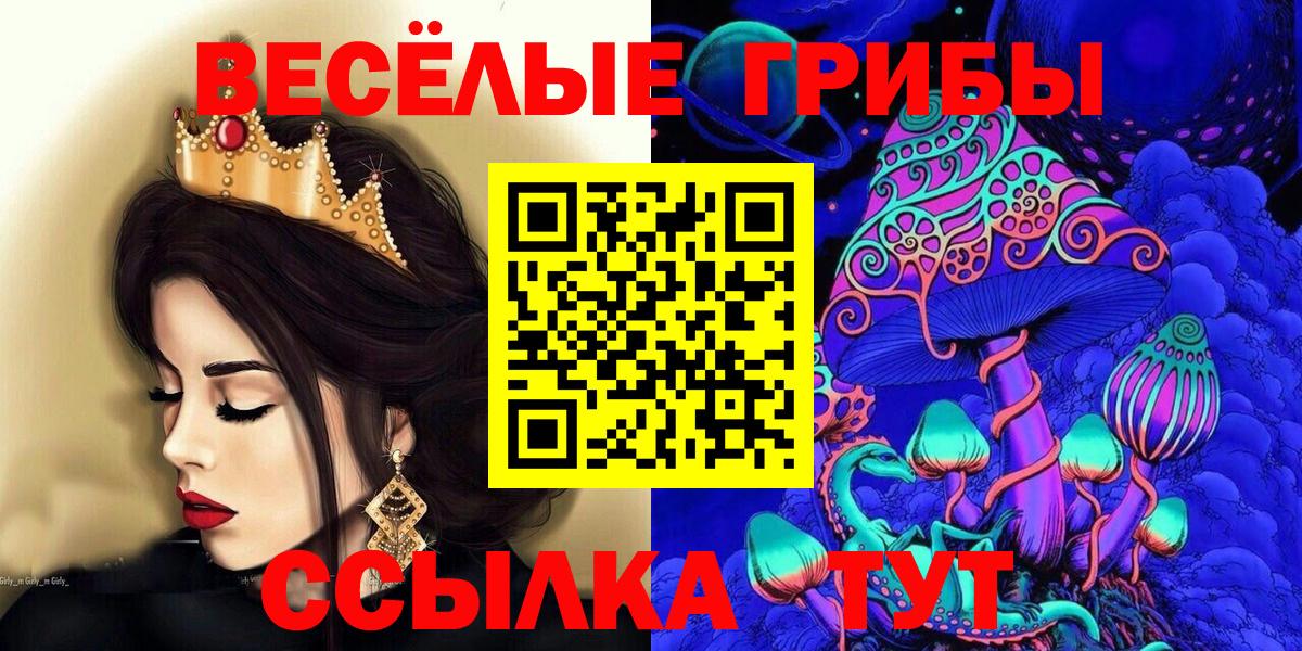 Псилоцибиновые грибы мицелий  купить  сайты  Кингисепп  Вход с VPN  Псилоцибиновые грибы прущие грибы 